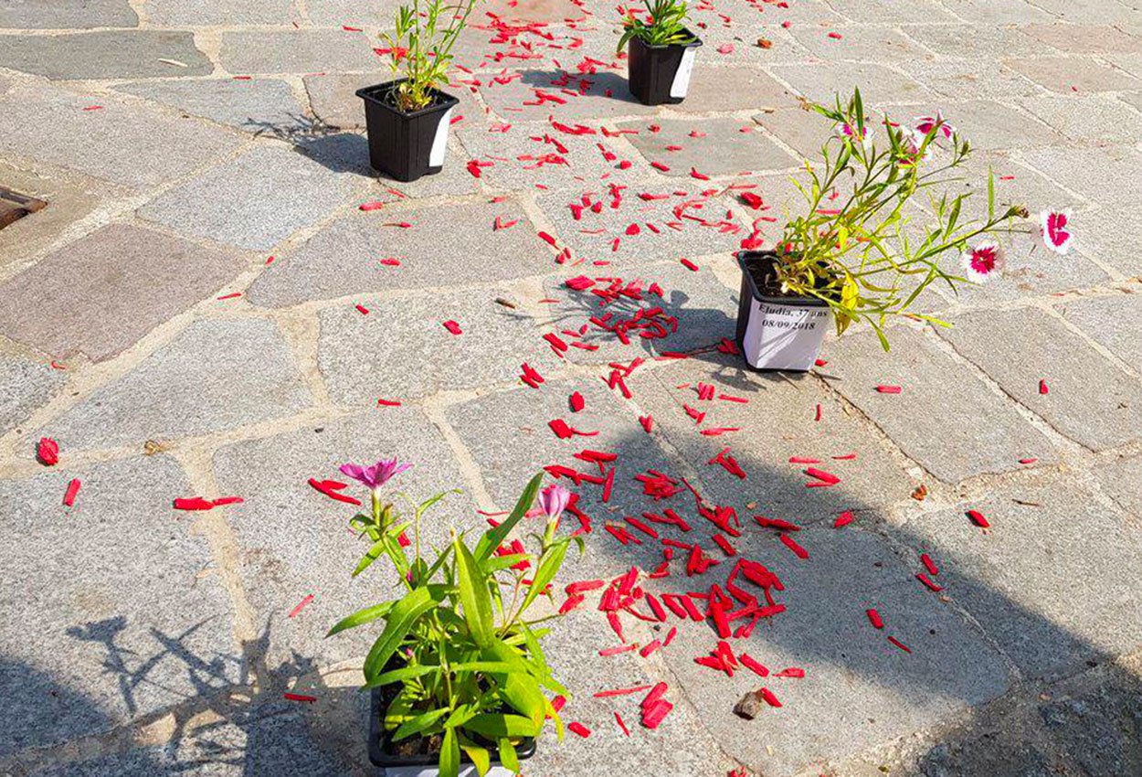Paris : hommage aux morts de la rue